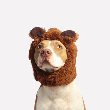 Pet 5